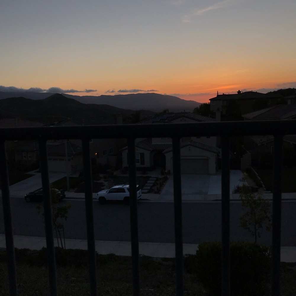 Meet your Posher, Everleigh